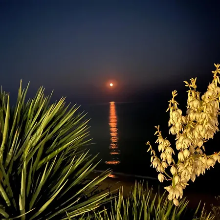 Sun Wave Sveti Vlas
