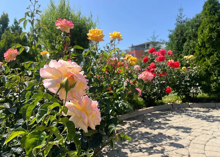 Sun Wave Apartment *